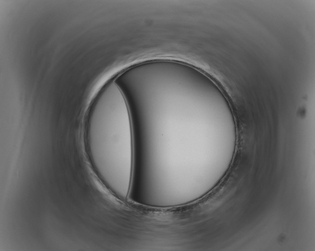 X0000097671511200802290933
