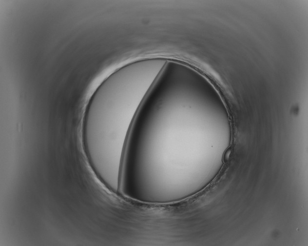 X0000097671512200802290933
