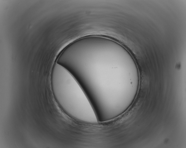 X0000097671513200802290933