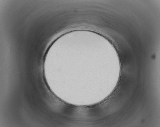 X0000097671514200802290933