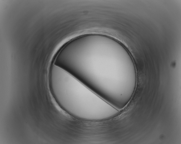 X0000097671515200802290933