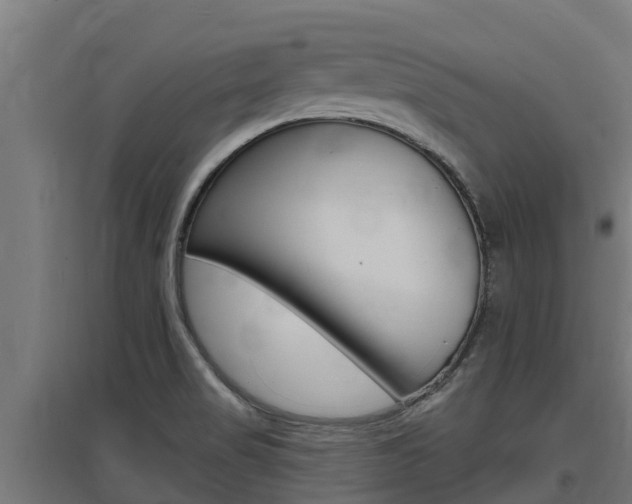 X0000097671517200802290933