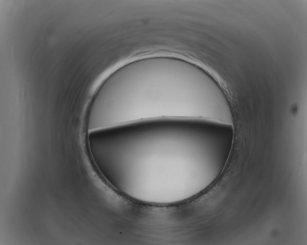X0000097671518200802290933