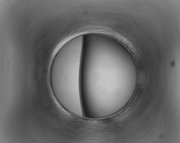 X0000097671520200802290933