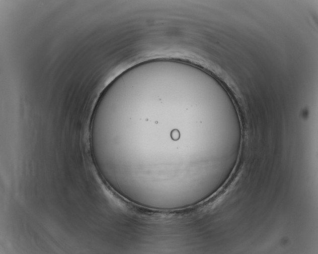 X0000097671521200802290933
