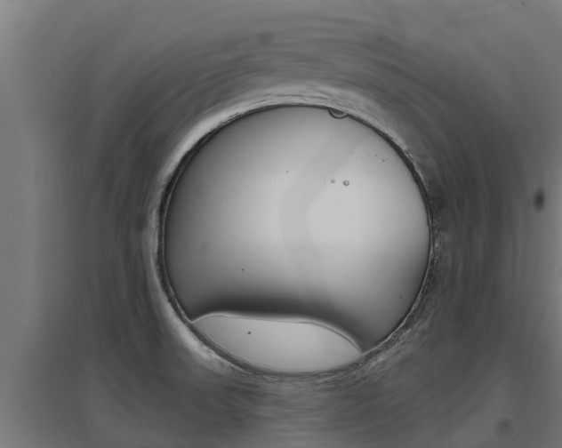 X0000097671523200802290933