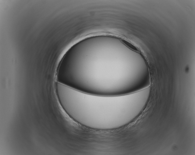 X0000097671524200802290933