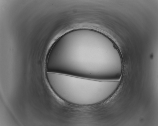 X0000097671525200802290933
