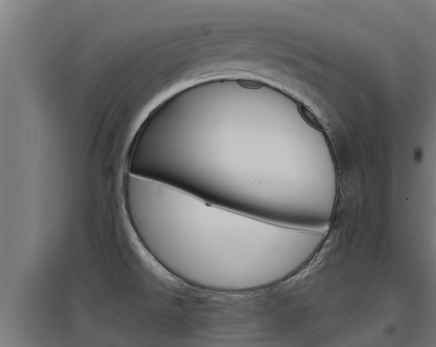 X0000097671526200802290933