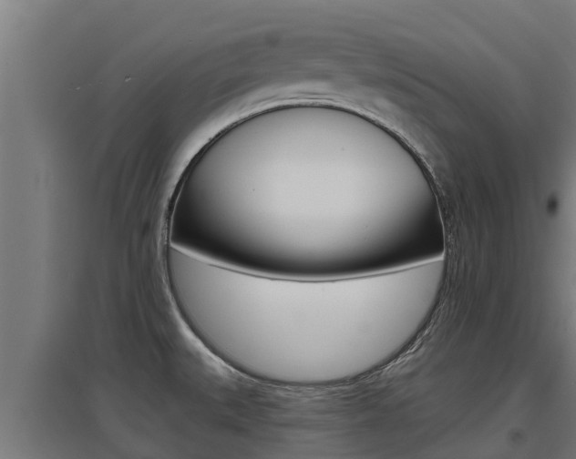 X0000097671527200802290933