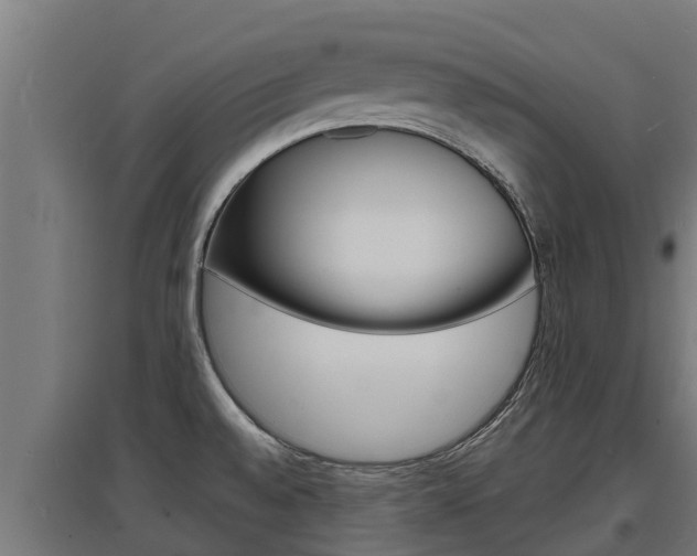 X0000097671528200802290933