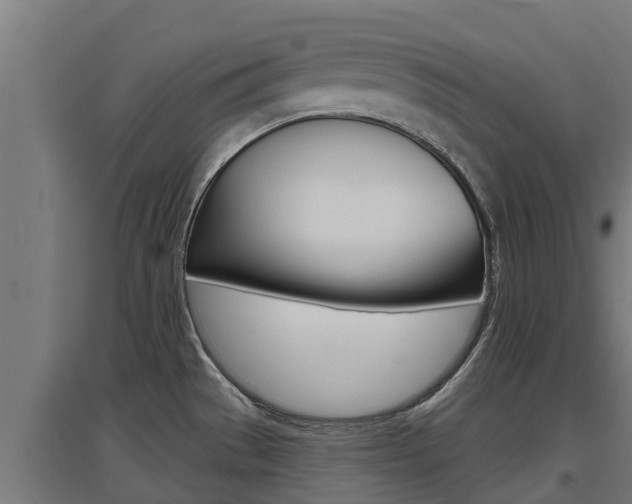 X0000097671529200802290933