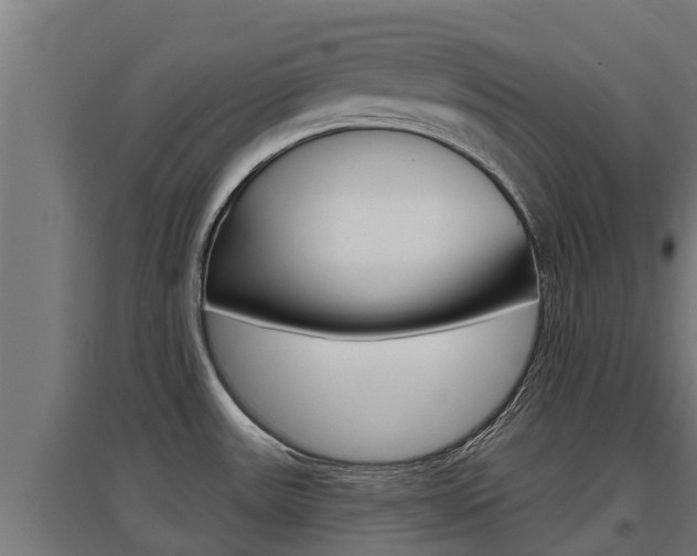 X0000097671531200802290934
