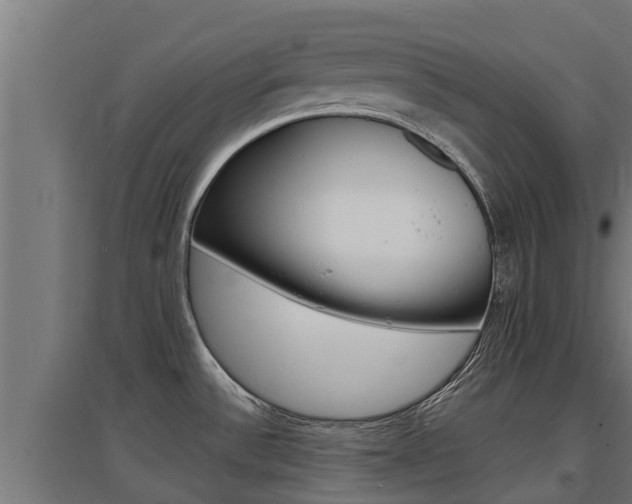 X0000097671532200802290934