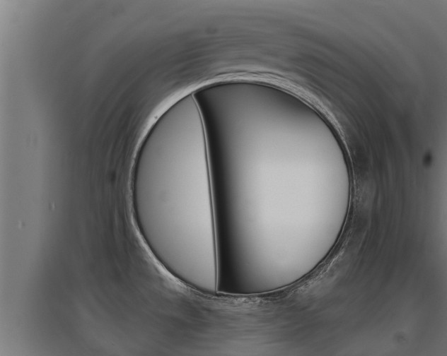 X0000097671533200802290934