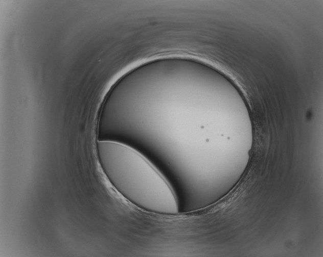 X0000097671534200802290934