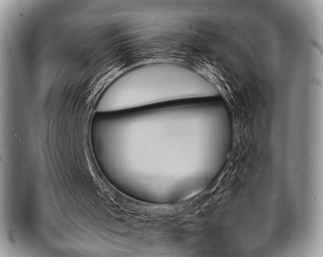 X0000097670001200802291511