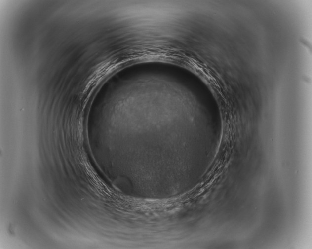 X0000097670002200802291511