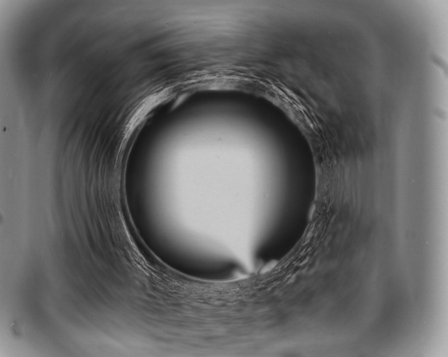 X0000097670003200802291511