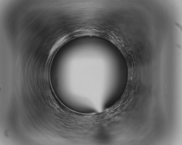 X0000097670004200802291511