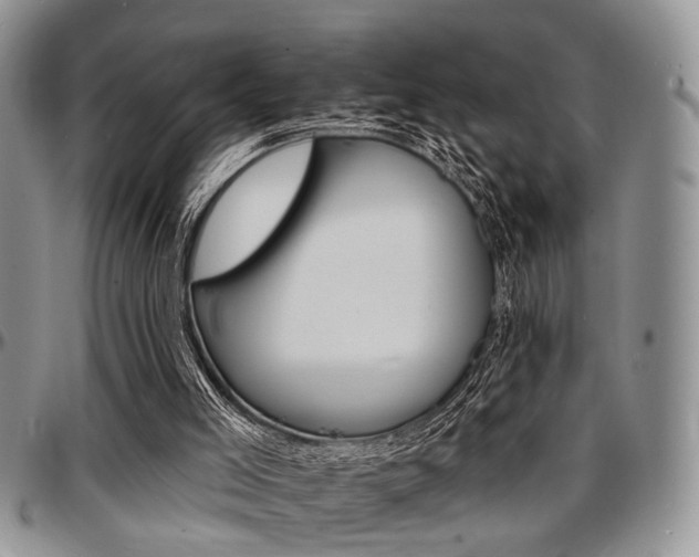 X0000097670005200802291511