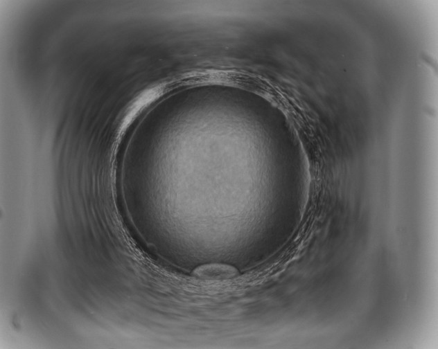 X0000097670006200802291511