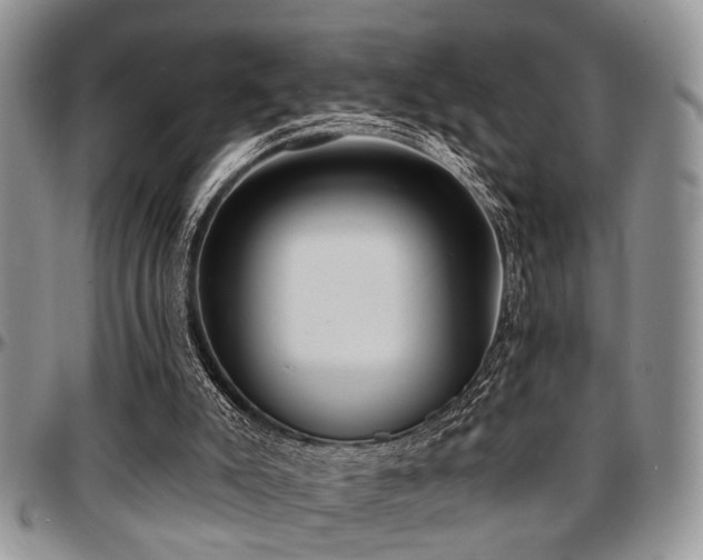 X0000097670007200802291511