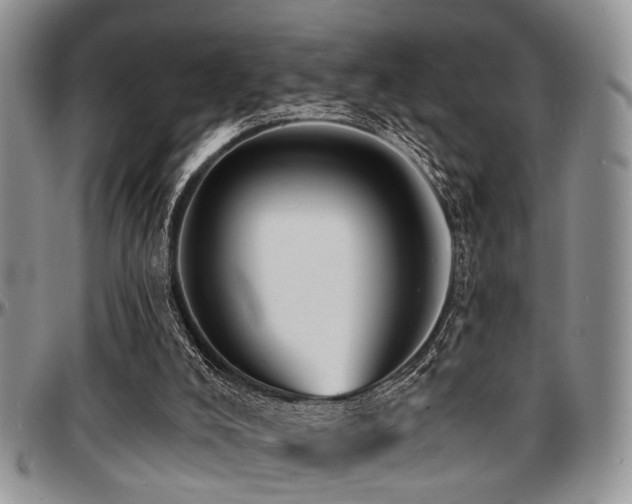 X0000097670008200802291511