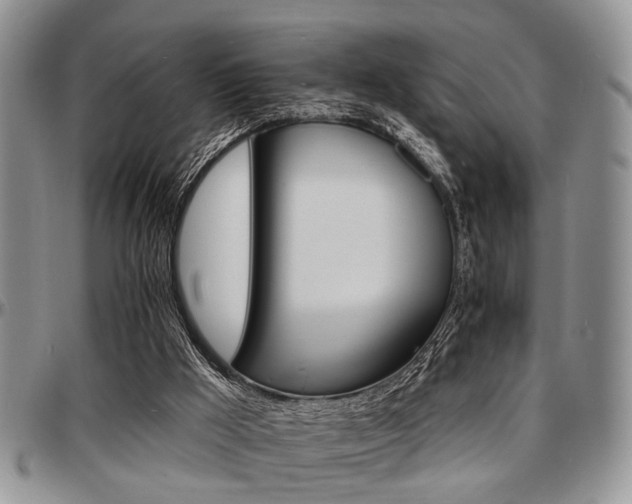 X0000097670009200802291511