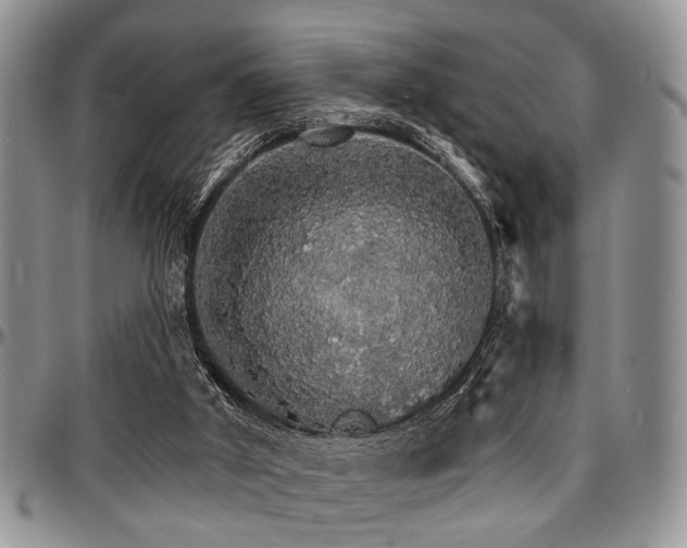 X0000097670010200802291511