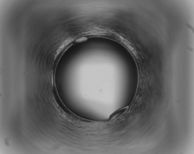 X0000097670011200802291511
