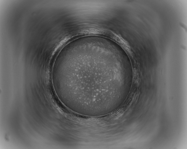 X0000097670012200802291511