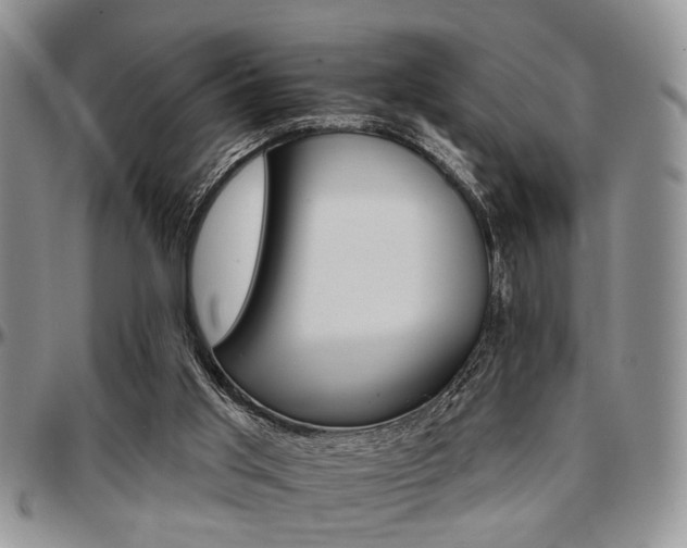 X0000097670013200802291511
