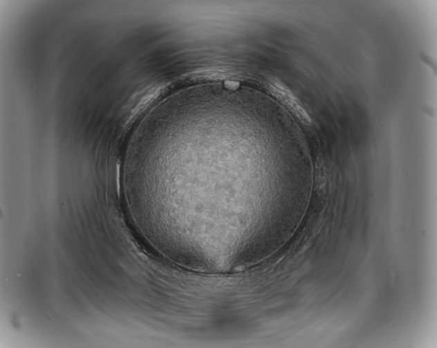 X0000097670014200802291511