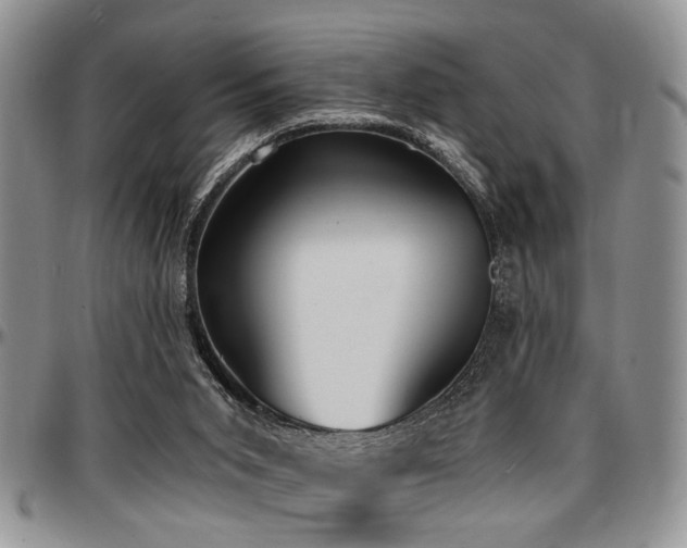 X0000097670015200802291511