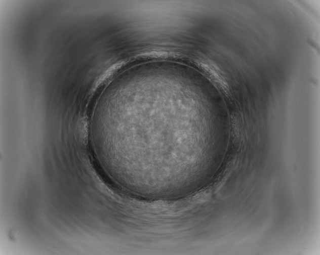 X0000097670016200802291511