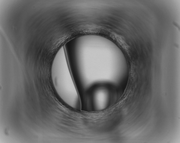 X0000097670017200802291511