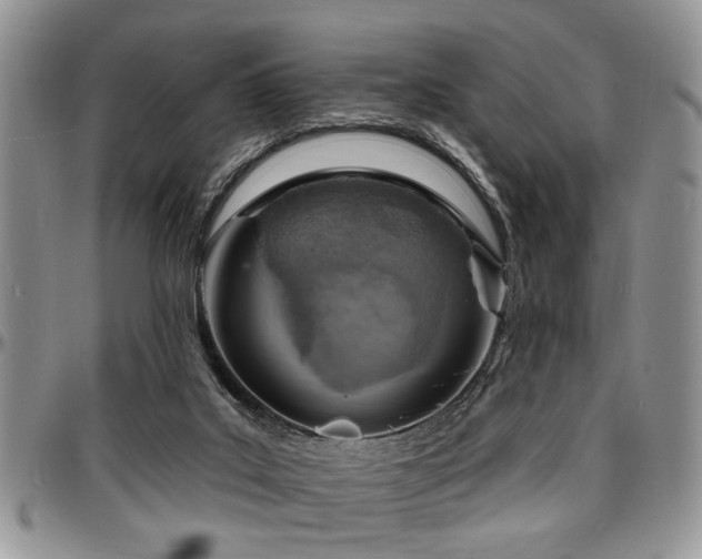 X0000097670019200802291511