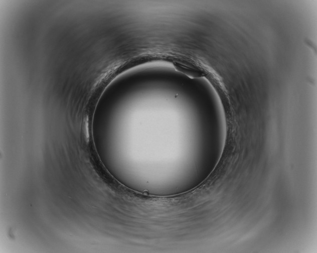X0000097670020200802291511