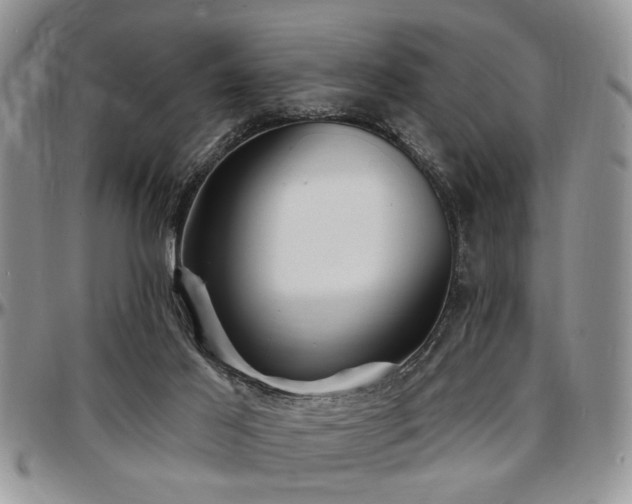 X0000097670021200802291511
