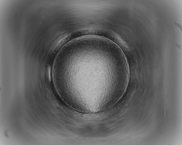 X0000097670022200802291511