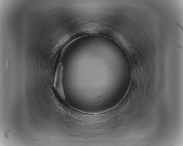 X0000097670023200802291511
