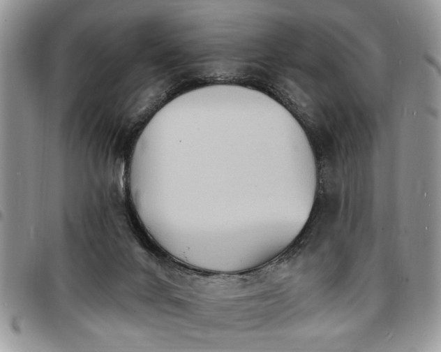 X0000097670024200802291511