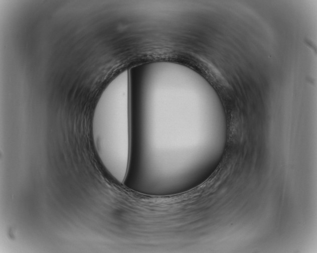 X0000097670025200802291511