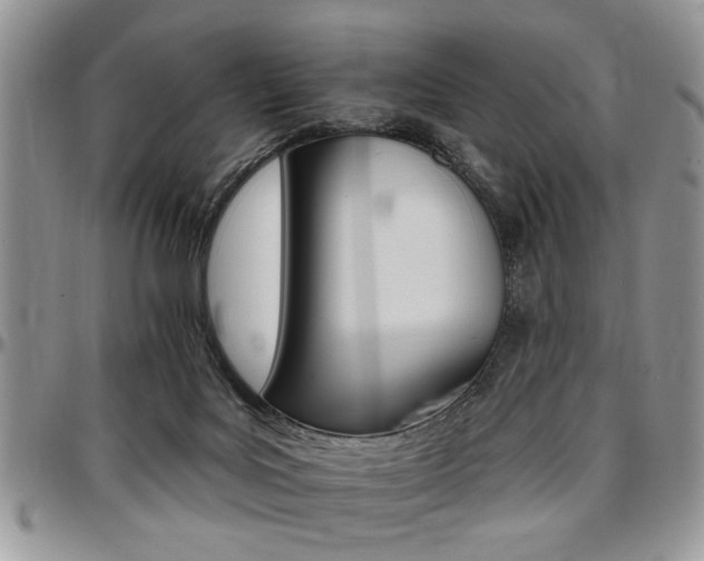 X0000097670027200802291511