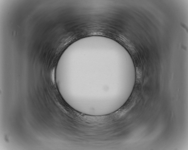 X0000097670028200802291511