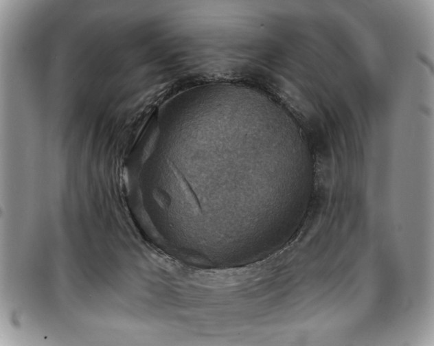 X0000097670029200802291511