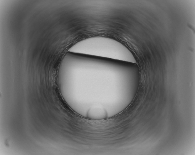 X0000097670030200802291511