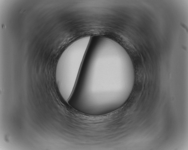 X0000097670031200802291511