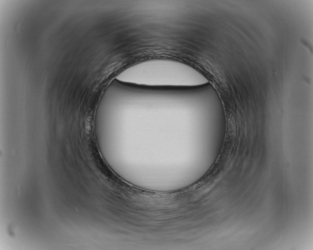 X0000097670032200802291511